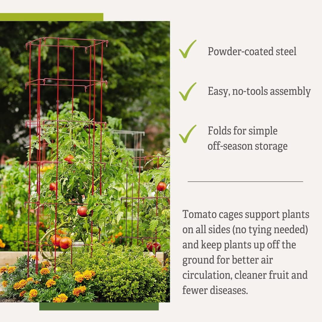 Lifetime Tomato Cages, Green, Set of 4