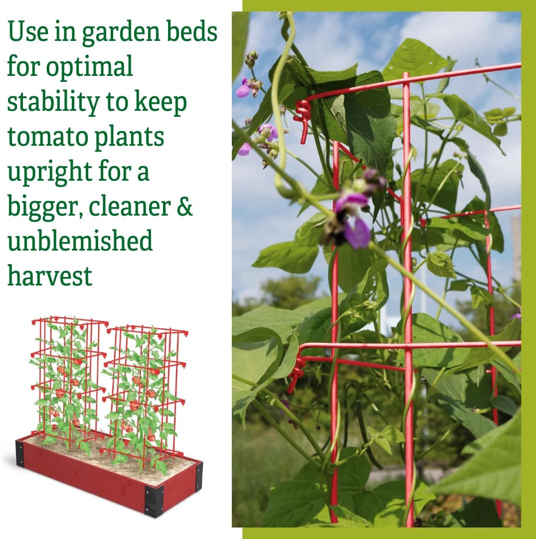Lifetime Tomato Cages, Green, Set of 4