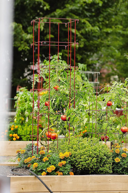 Lifetime Tomato Cages, Green, Set of 4