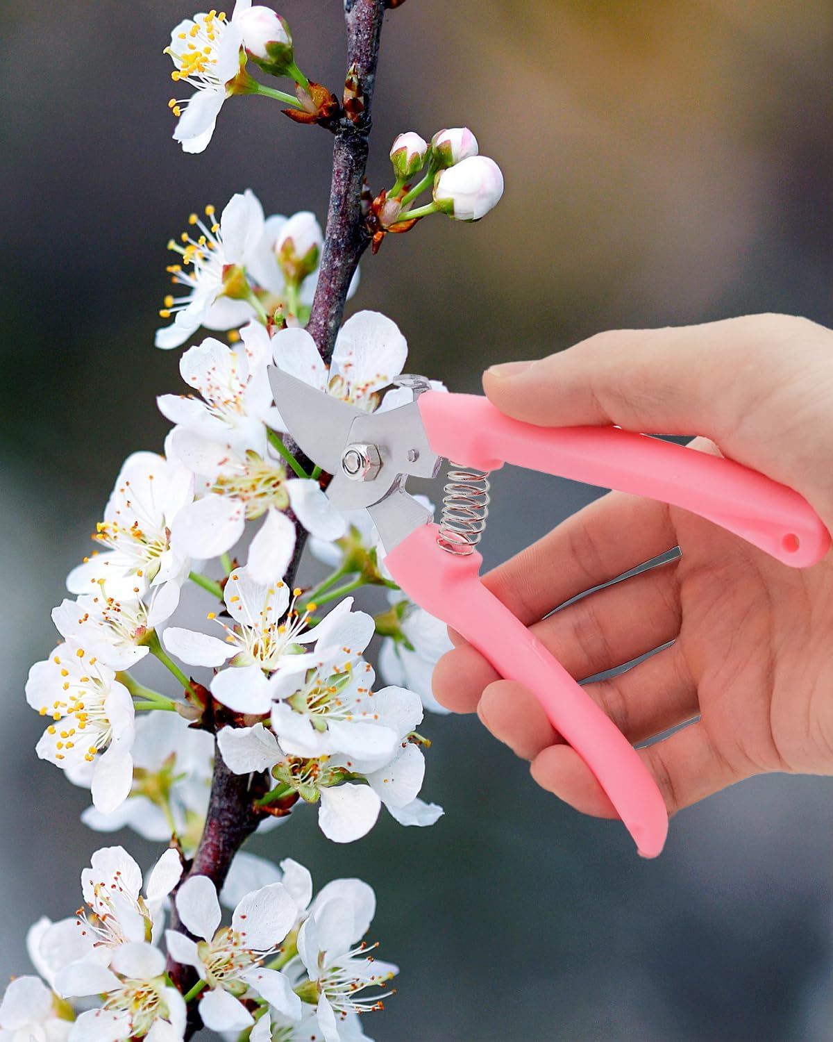 Flower Scissor, Floral Shear for Cutting Fresh Flowers (Pink, 4 Pack)