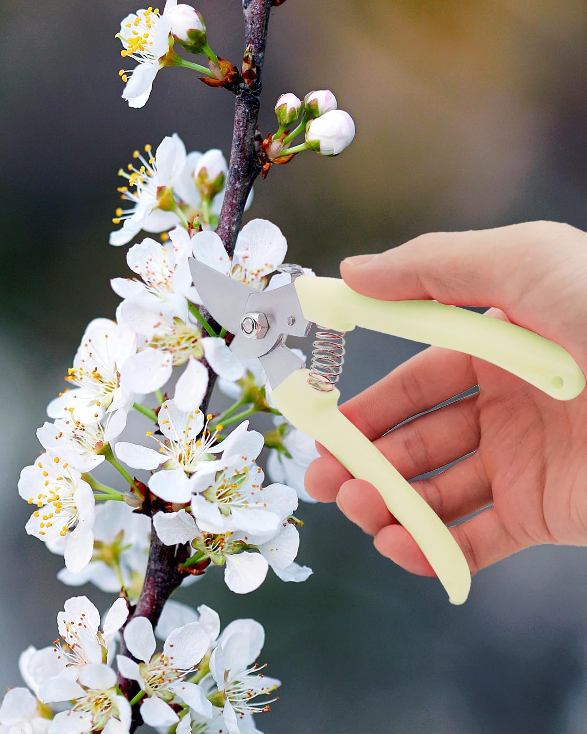 Flower Scissor, Floral Shear for Cutting Fresh Flowers (Pink, 4 Pack)