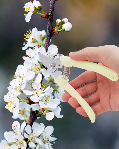 Flower Scissor, Floral Shear for Cutting Fresh Flowers (Pink, 4 Pack)