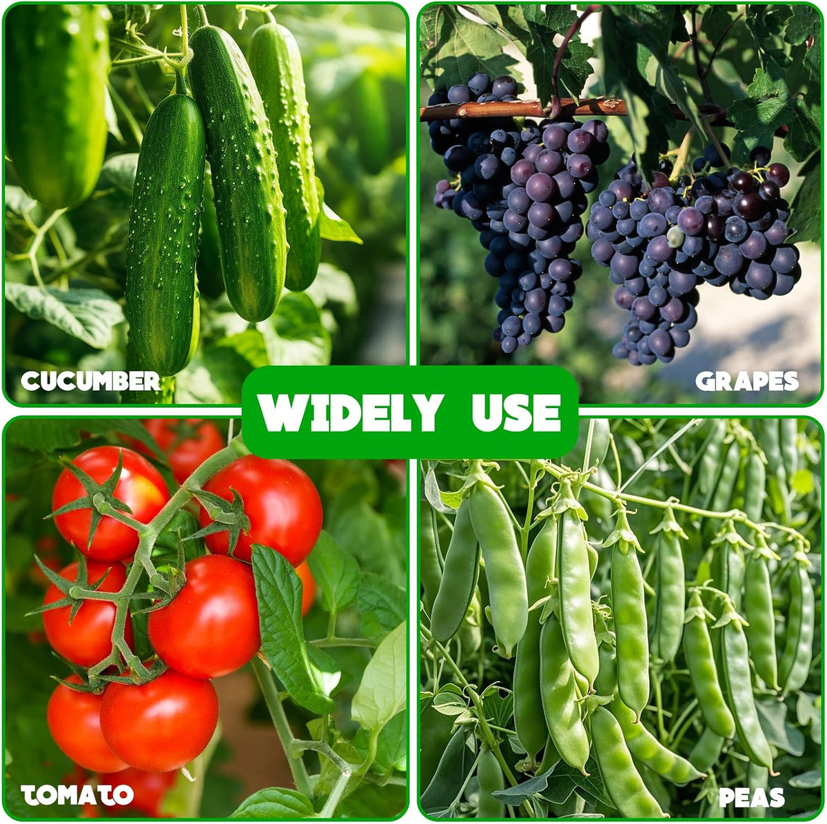Heavy Duty Cucumber Trellis,2 Pack,No AssemblyGarden Trellis for Climbing Plants Outdoor,Cucumber Trellis, A-Frame Vegetable Frame,Vegetables Peas Beans Squash Cucumber
