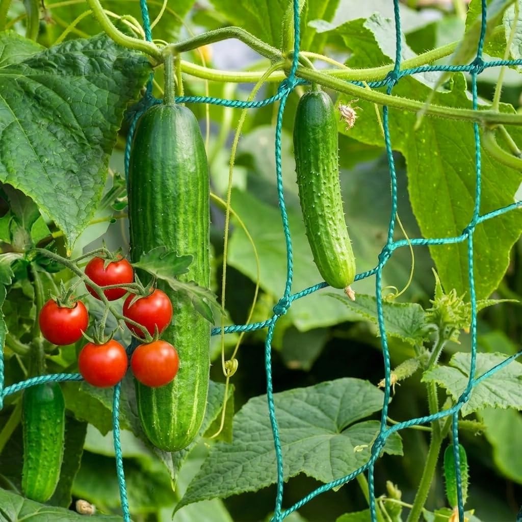 Trellis Netting, Heavy-Duty Garden Grow Netting for Climbing Plants, Outdoor Indoor Net for Cucumber, Tomatoes, Beans, Clematis, Fruits & Vegetables, Climbing Vining Plants (8.2' x 6.6'Ft)