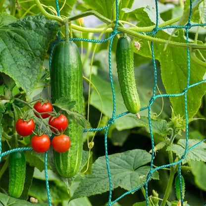 Trellis Netting, Heavy-Duty Garden Grow Netting for Climbing Plants, Outdoor Indoor Net for Cucumber, Tomatoes, Beans, Clematis, Fruits & Vegetables, Climbing Vining Plants (8.2' x 6.6'Ft)