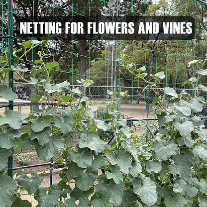 Trellis Netting, Heavy-Duty Garden Grow Netting for Climbing Plants, Outdoor Indoor Net for Cucumber, Tomatoes, Beans, Clematis, Fruits & Vegetables, Climbing Vining Plants (8.2' x 6.6'Ft)