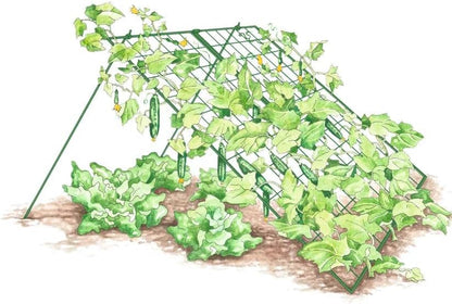 Sturdy Large Cucumber Trellis Support | Foldable Tough Metal Frame for Outdoor Climbing Plants Support | Best for Easy Harvesting and Easy Installation - 48" W x 48" H