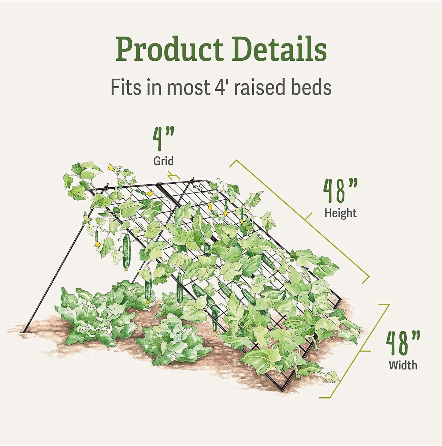 Sturdy Large Cucumber Trellis Support | Foldable Tough Metal Frame for Outdoor Climbing Plants Support | Best for Easy Harvesting and Easy Installation - 48" W x 48" H