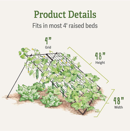Sturdy Large Cucumber Trellis Support | Foldable Tough Metal Frame for Outdoor Climbing Plants Support | Best for Easy Harvesting and Easy Installation - 48" W x 48" H