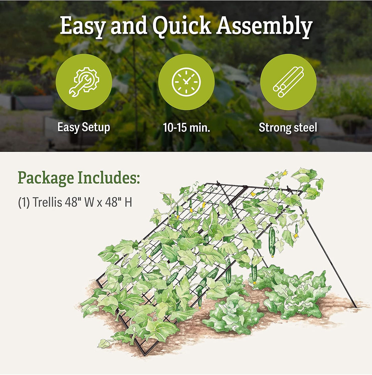 Sturdy Large Cucumber Trellis Support | Foldable Tough Metal Frame for Outdoor Climbing Plants Support | Best for Easy Harvesting and Easy Installation - 48" W x 48" H