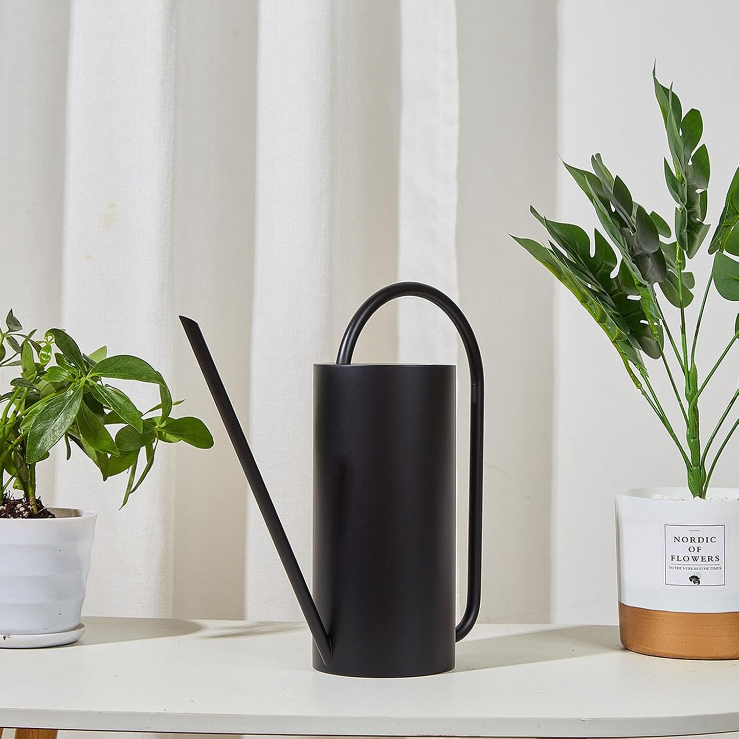 1500ml Indoor Watering Can, Large Capacity Long Spout Stainless Steel Plant Watering Can, Watering Kettle for Outdoors Horticultural Enthusiast (Black)