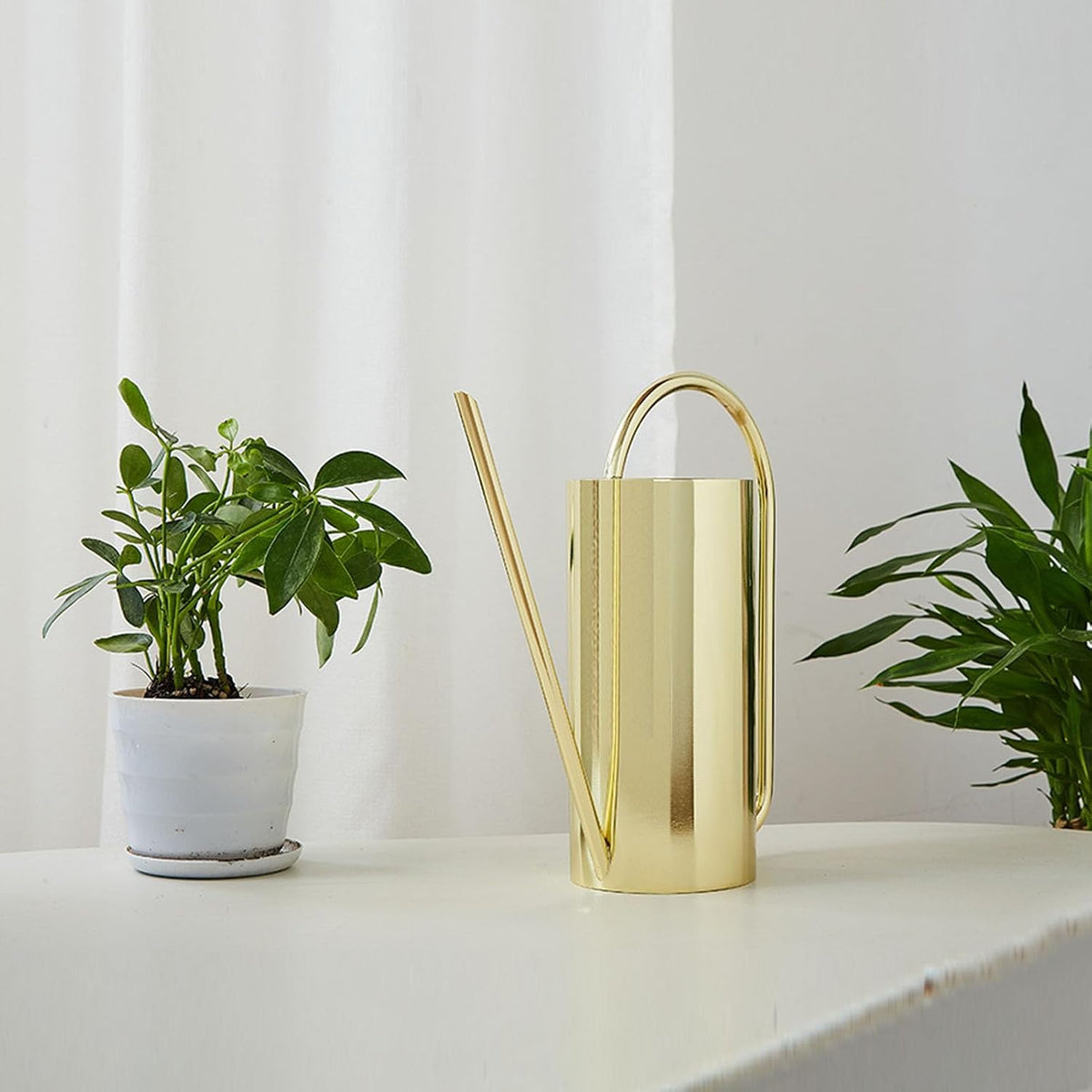 1500ml Indoor Watering Can, Large Capacity Long Spout Stainless Steel Plant Watering Can, Watering Kettle for Outdoors Horticultural Enthusiast (Black)