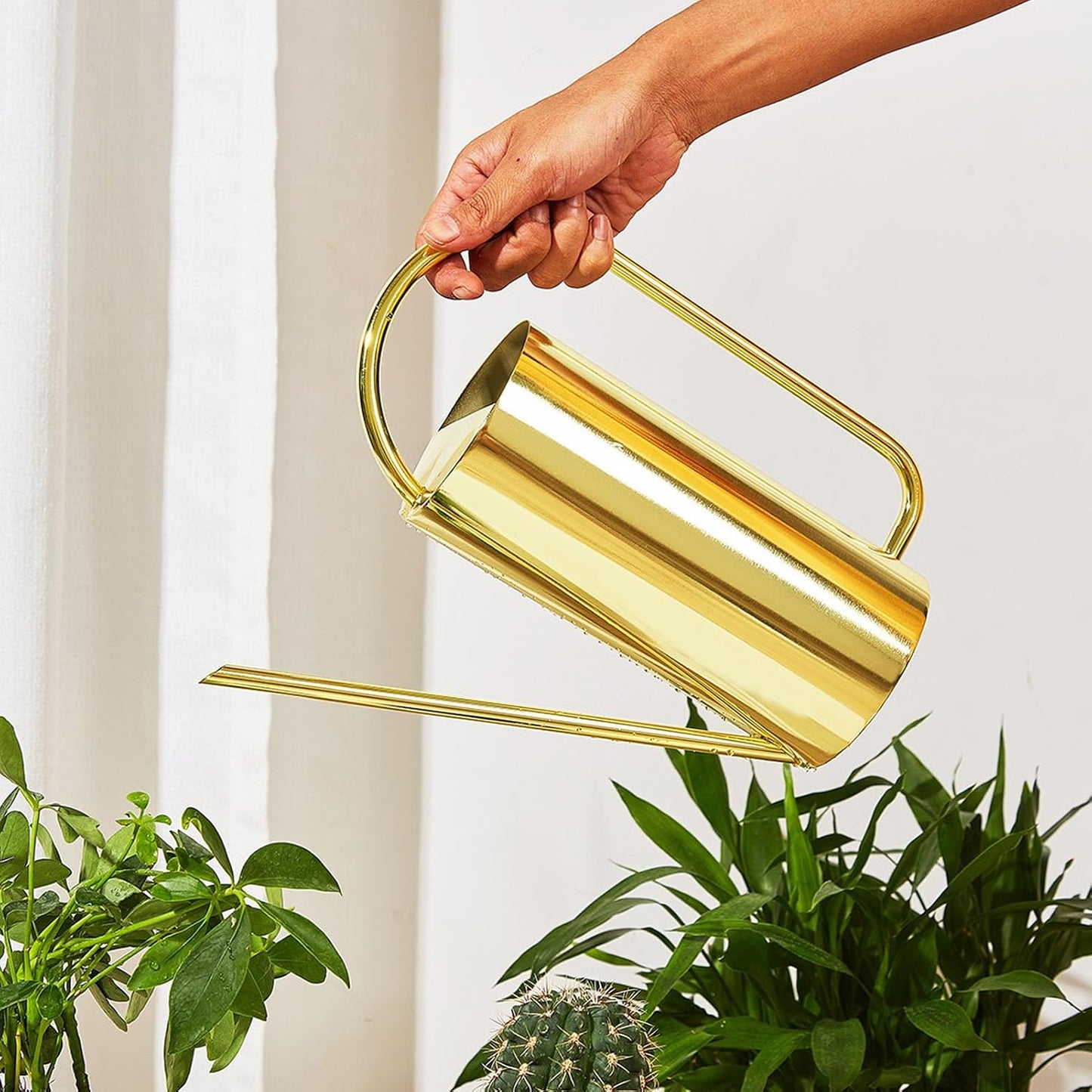 1500ml Indoor Watering Can, Large Capacity Long Spout Stainless Steel Plant Watering Can, Watering Kettle for Outdoors Horticultural Enthusiast (Black)