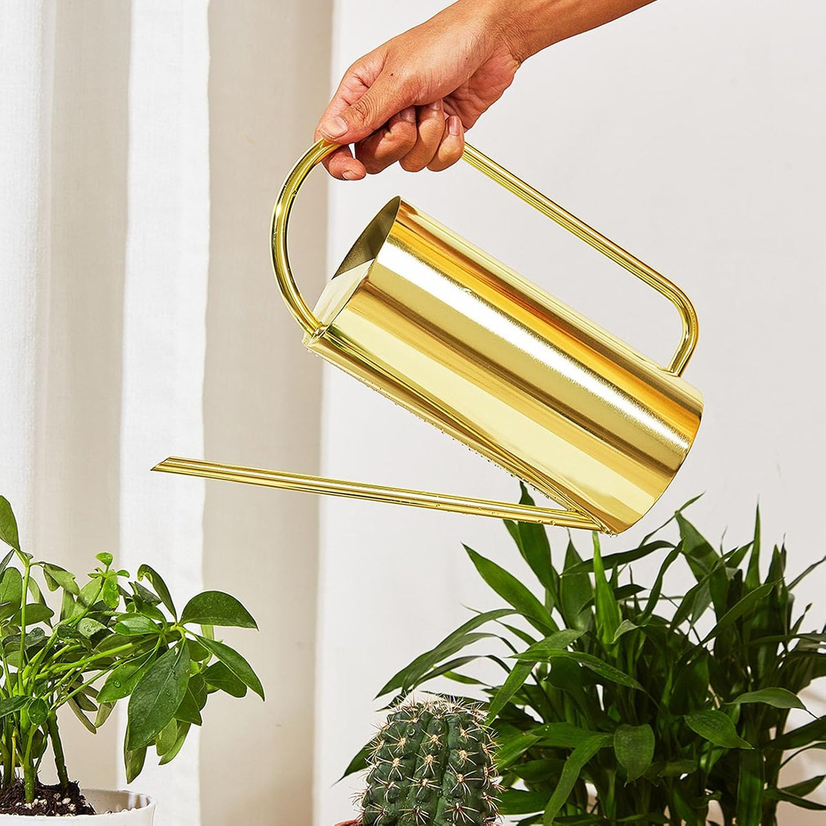 1500ml Indoor Watering Can, Large Capacity Long Spout Stainless Steel Plant Watering Can, Watering Kettle for Outdoors Horticultural Enthusiast (Black)