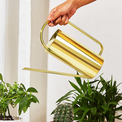 1500ml Indoor Watering Can, Large Capacity Long Spout Stainless Steel Plant Watering Can, Watering Kettle for Outdoors Horticultural Enthusiast (Black)