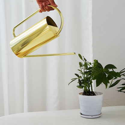 1500ml Indoor Watering Can, Large Capacity Long Spout Stainless Steel Plant Watering Can, Watering Kettle for Outdoors Horticultural Enthusiast (Black)