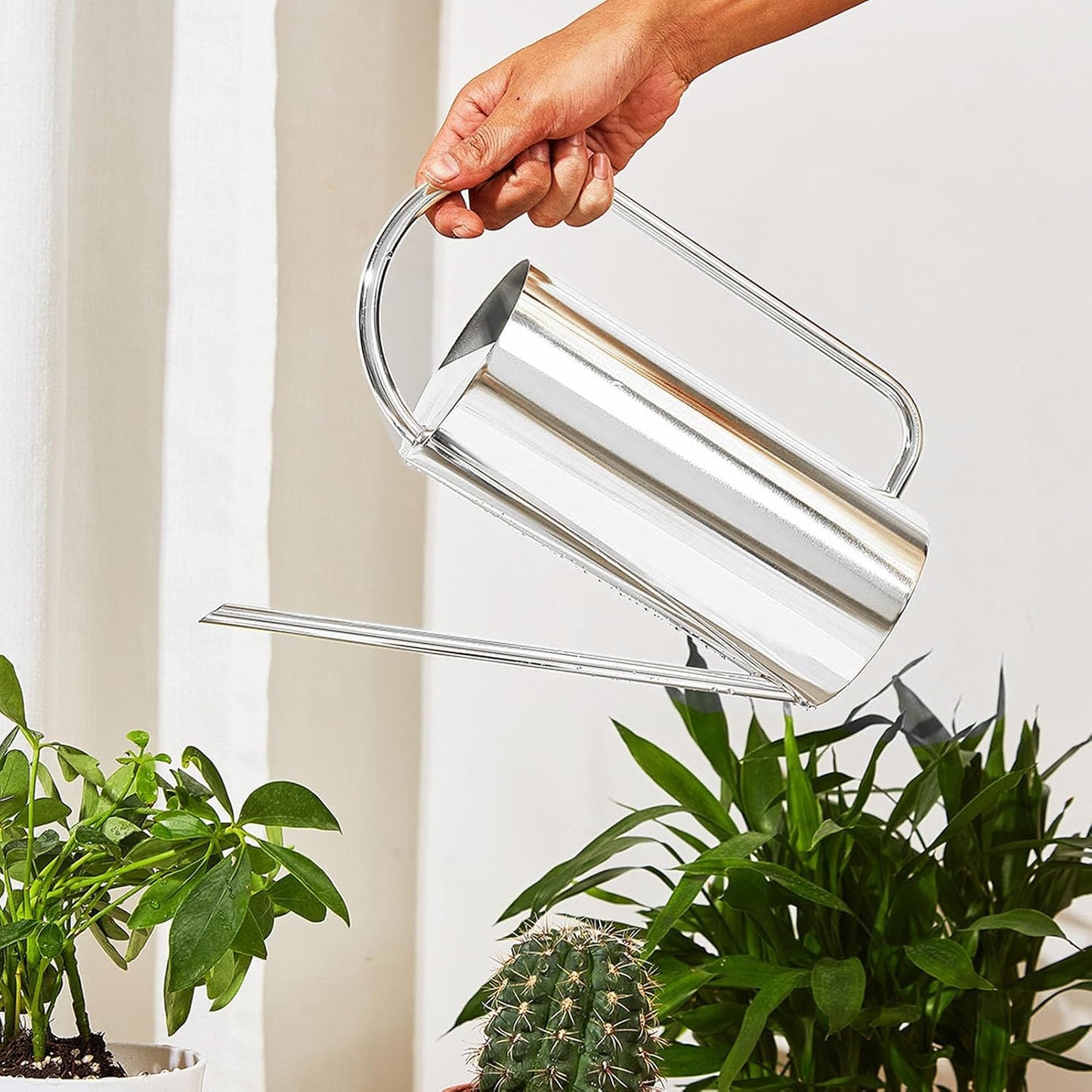 1500ml Indoor Watering Can, Large Capacity Long Spout Stainless Steel Plant Watering Can, Watering Kettle for Outdoors Horticultural Enthusiast (Black)