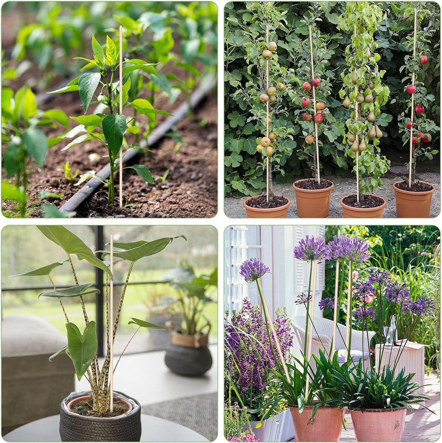 46 PCS Bamboo Plant Stakes 18 Inch, 5mm Thick Wood Plant Support Stakes