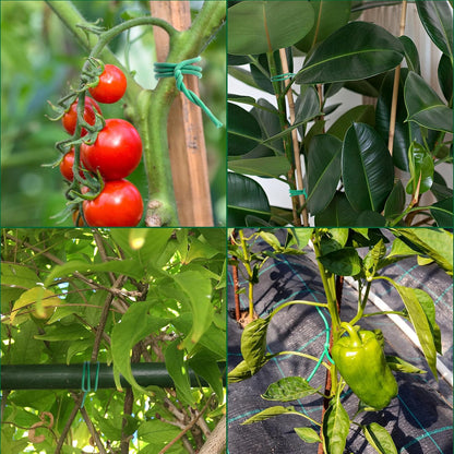 120 Feet Green Soft Twist Tie Tomato Plant Tie