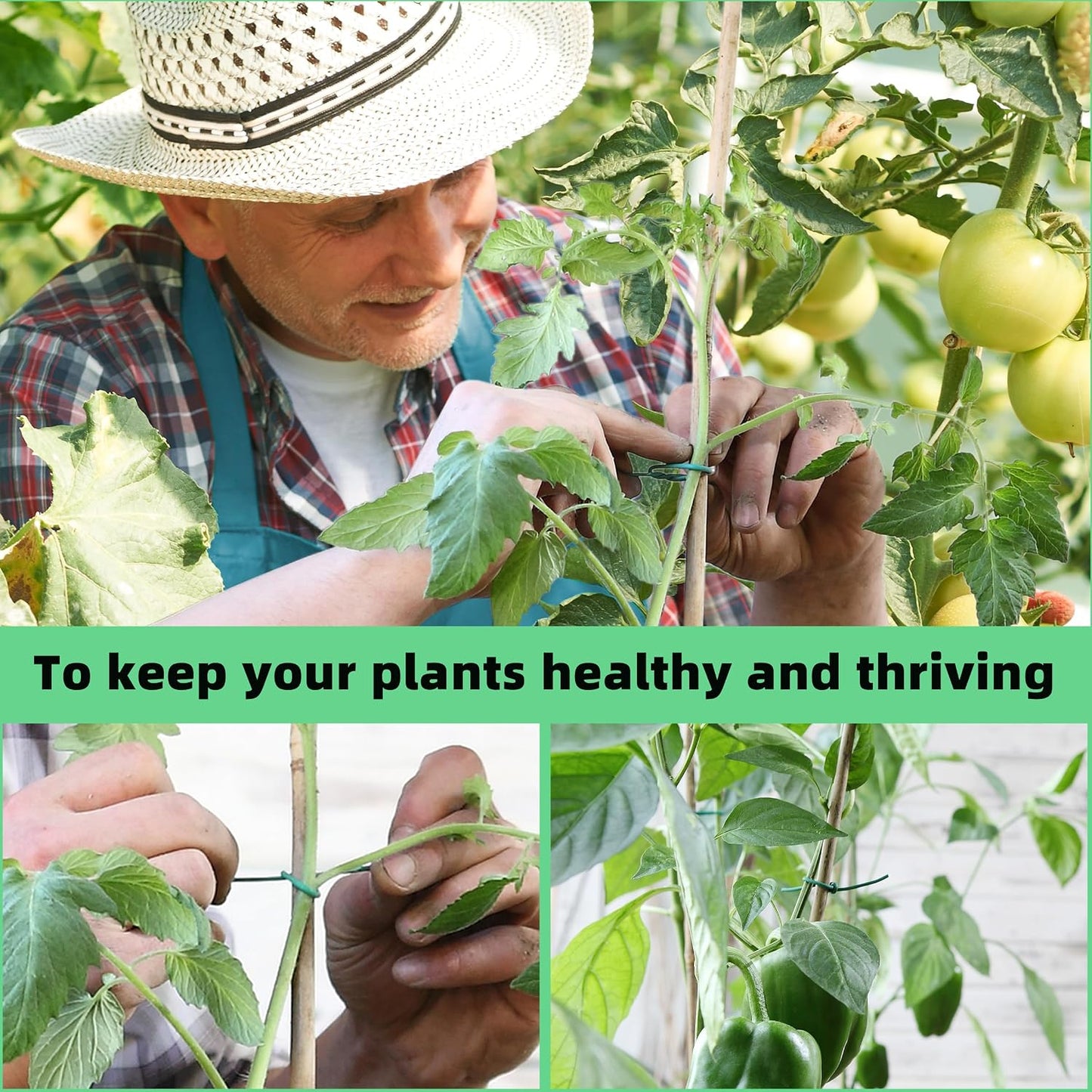 120 Feet Green Soft Twist Tie Tomato Plant Tie