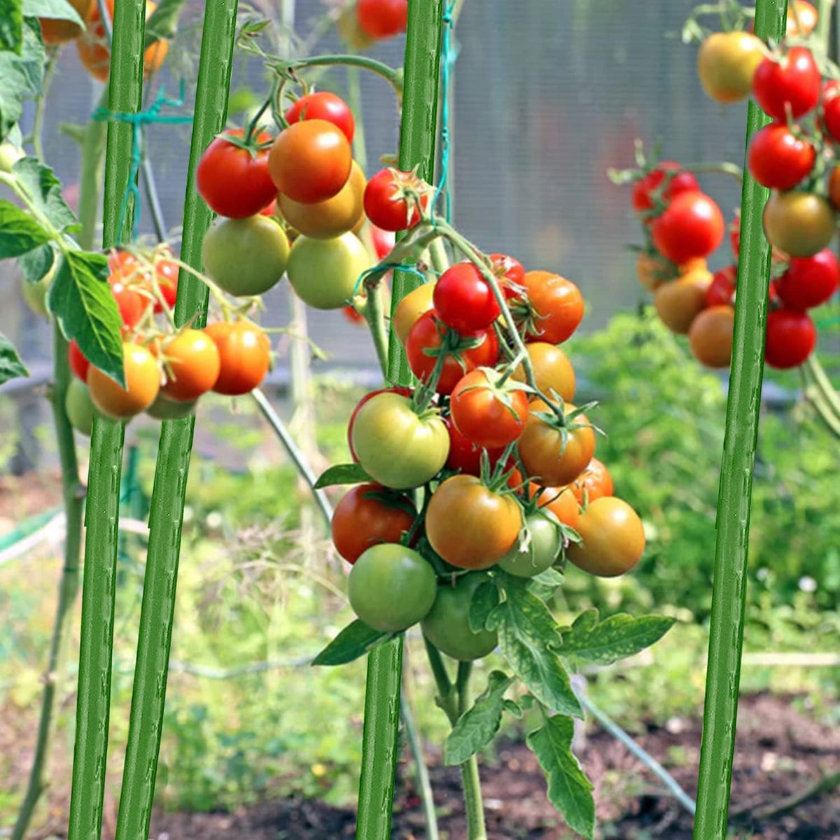 Garden Stakes 48 Inches Sturdy Green Plant Sticks 25 Pack, Metal Tomato Stakes Support, Yard Plant Support Cage for Potted Plants, Tomatoes, Trees, Cucumber, Fences, Beans (48 inch)