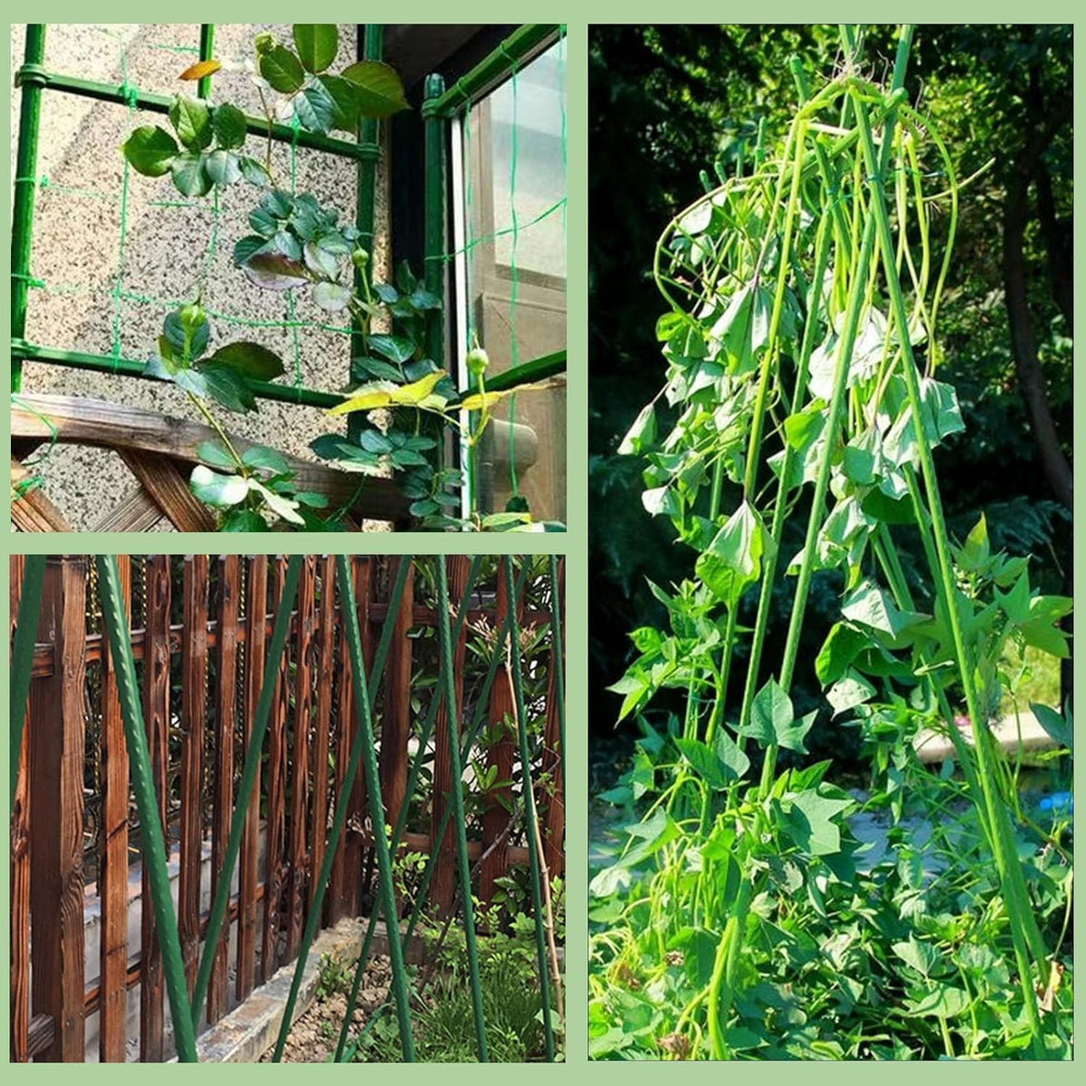 Garden Stakes 48 Inches Sturdy Green Plant Sticks 25 Pack, Metal Tomato Stakes Support, Yard Plant Support Cage for Potted Plants, Tomatoes, Trees, Cucumber, Fences, Beans (48 inch)