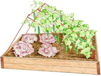 Cucumber Trellis | Garden Bed Support for Cucumbers & Climbing Plants | Outdoor Plant Support w/ 4" Grids for Easy Harvesting | 32" x 48" - Medium (Red)
