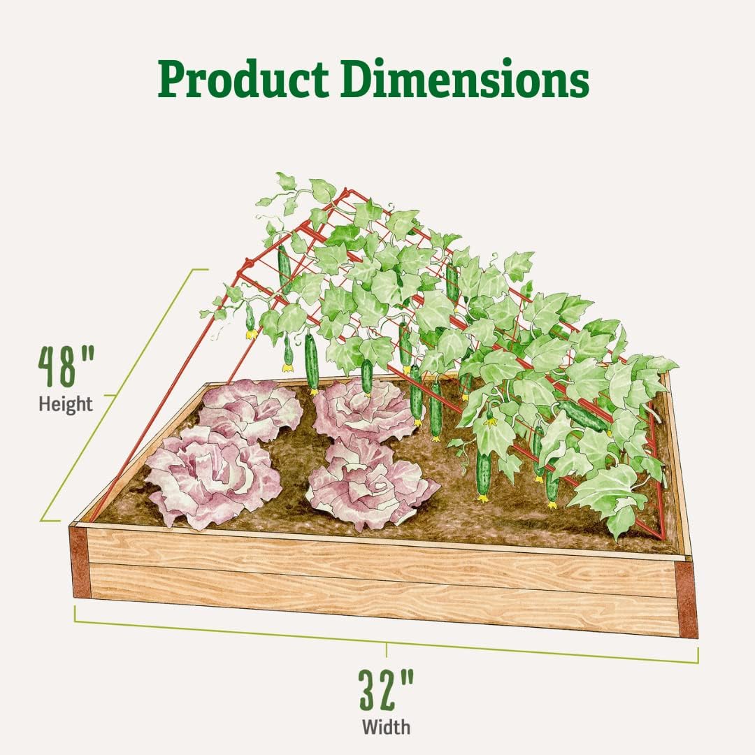 Cucumber Trellis | Garden Bed Support for Cucumbers & Climbing Plants | Outdoor Plant Support w/ 4" Grids for Easy Harvesting | 32" x 48" - Medium (Red)