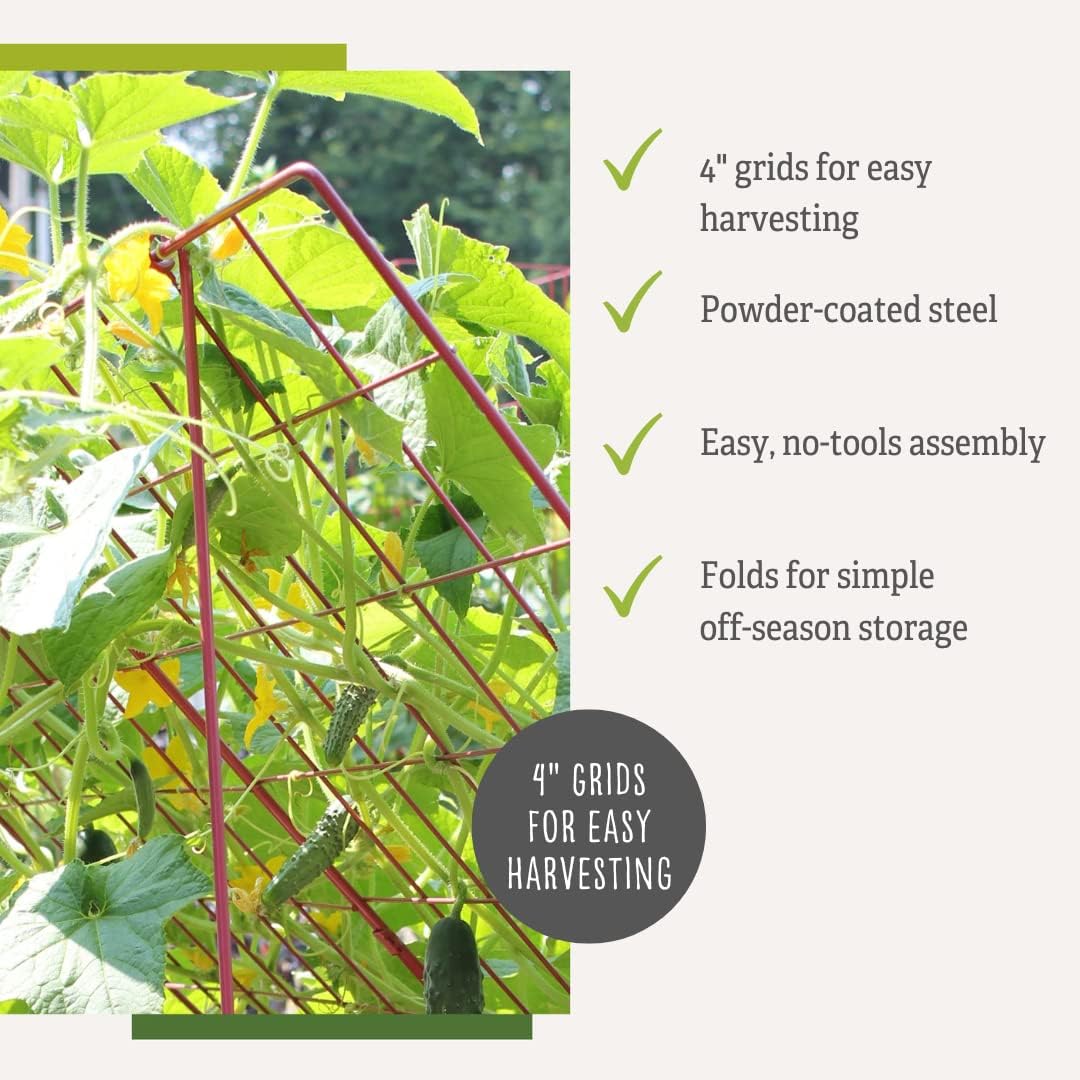 Cucumber Trellis | Garden Bed Support for Cucumbers & Climbing Plants | Outdoor Plant Support w/ 4" Grids for Easy Harvesting | 32" x 48" - Medium (Red)