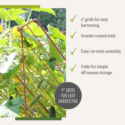 Cucumber Trellis | Garden Bed Support for Cucumbers & Climbing Plants | Outdoor Plant Support w/ 4" Grids for Easy Harvesting | 32" x 48" - Medium (Red)