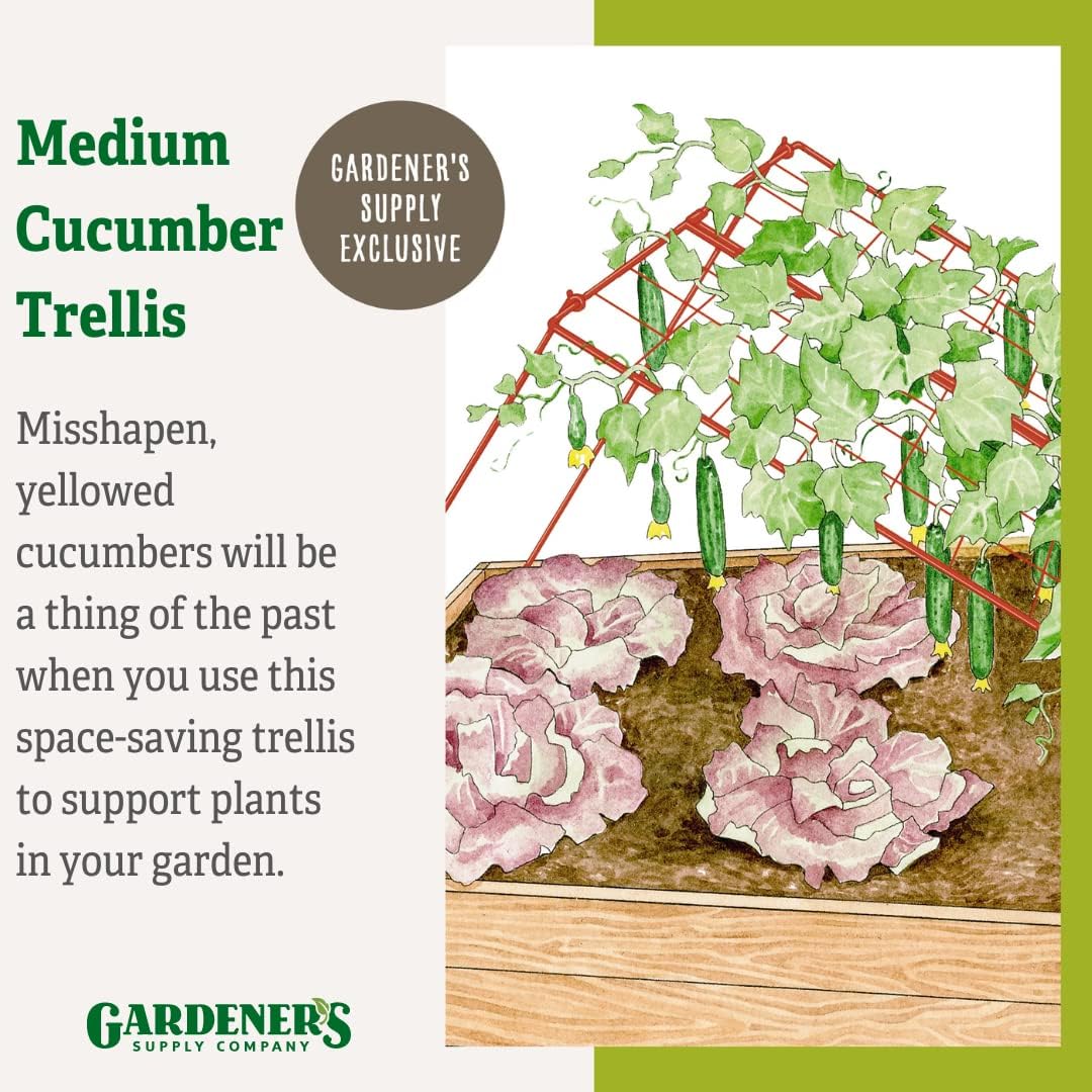 Cucumber Trellis | Garden Bed Support for Cucumbers & Climbing Plants | Outdoor Plant Support w/ 4" Grids for Easy Harvesting | 32" x 48" - Medium (Red)