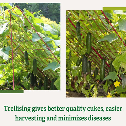 Cucumber Trellis | Garden Bed Support for Cucumbers & Climbing Plants | Outdoor Plant Support w/ 4" Grids for Easy Harvesting | 32" x 48" - Medium (Red)