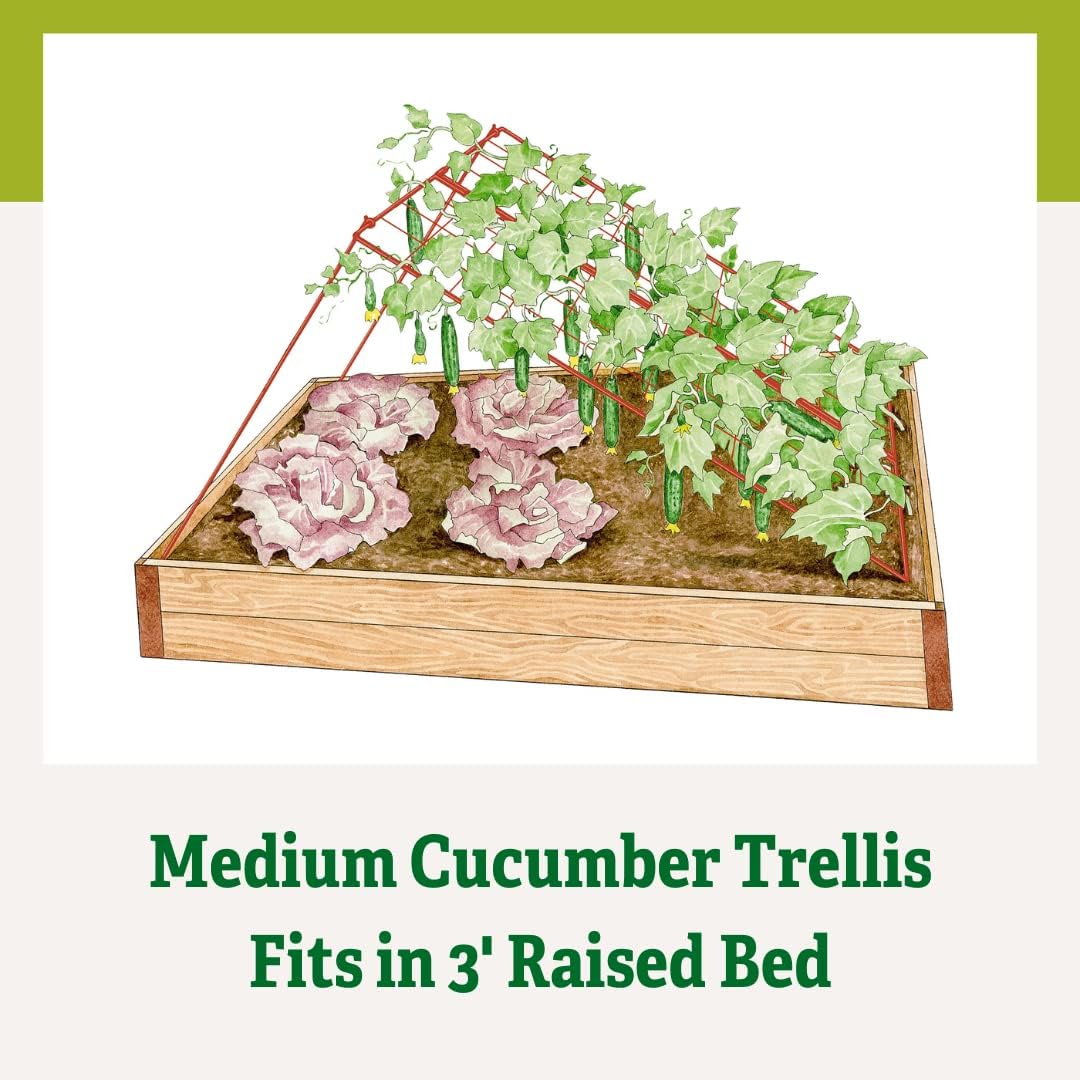Cucumber Trellis | Garden Bed Support for Cucumbers & Climbing Plants | Outdoor Plant Support w/ 4" Grids for Easy Harvesting | 32" x 48" - Medium (Red)