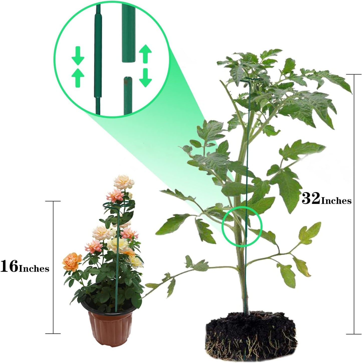 4 Pack Plant Stakes,Plant Support Stakes for Two Sizes(16 or 32 Inches)