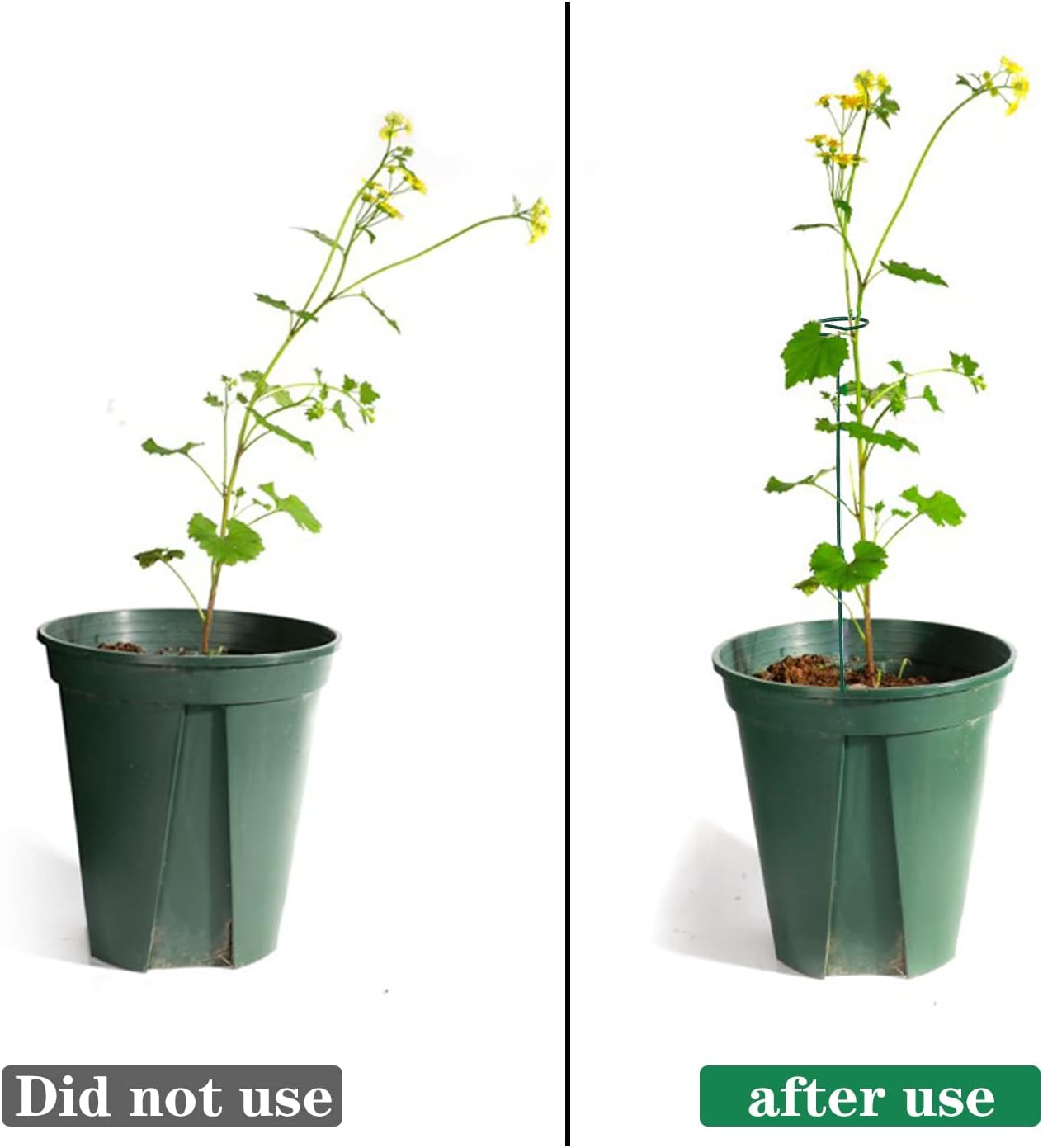 4 Pack Plant Stakes,Plant Support Stakes for Two Sizes(16 or 32 Inches)