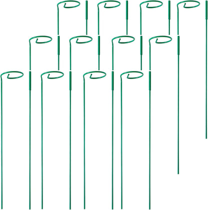 4 Pack Plant Stakes,Plant Support Stakes for Two Sizes(16 or 32 Inches)