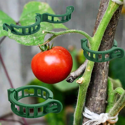 300Pcs Tomato Clips, Reusable Plant Support Clips for Climbing Plants, Garden Clips for Tomato Vine, Trellis Clips for String Trellis, Plant Fixing Clips for Vegetables (Green)
