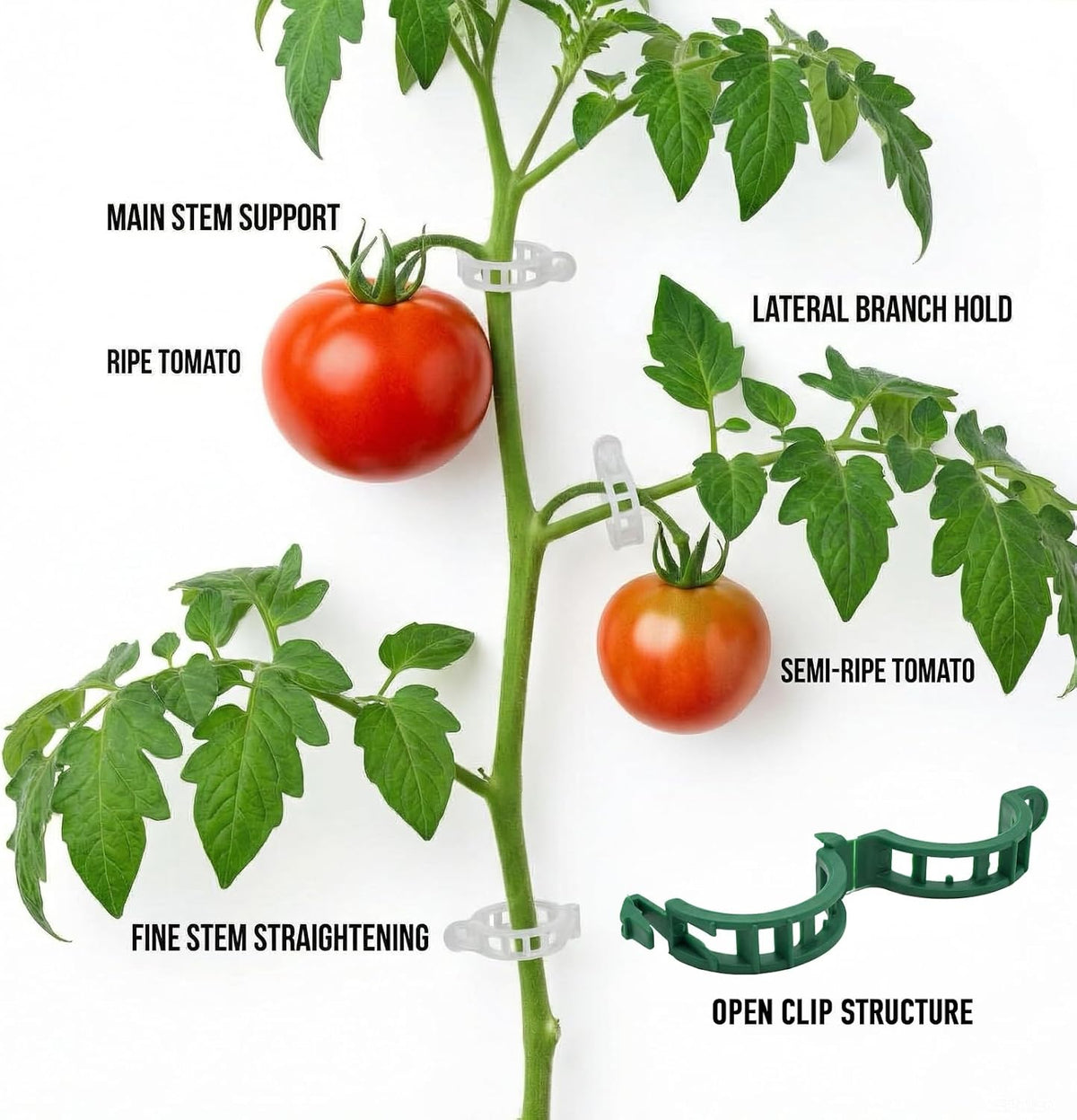 300Pcs Tomato Clips, Reusable Plant Support Clips for Climbing Plants, Garden Clips for Tomato Vine, Trellis Clips for String Trellis, Plant Fixing Clips for Vegetables (Green)