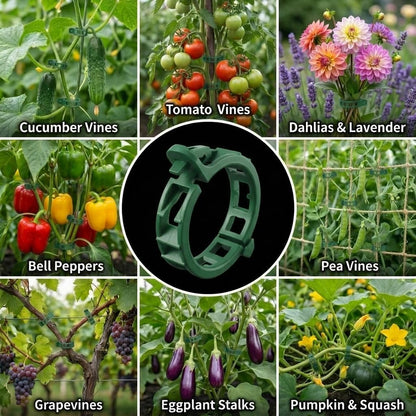 300Pcs Tomato Clips, Reusable Plant Support Clips for Climbing Plants, Garden Clips for Tomato Vine, Trellis Clips for String Trellis, Plant Fixing Clips for Vegetables (Green)