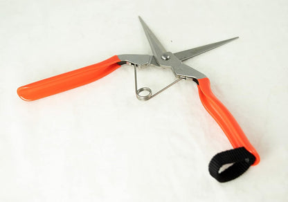 8" Japanese Koshiji Stainless long blade Trimming Scissors for Bonsai Tree Caring/Gardening Tool (S-2)
