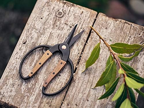 Garden Scissors - Walnut Scissors - Garden Supplies and Indoor Plant Accessories - Plant Shears with Wide Handles - Comfortable Fit Hand Pruners (Large)