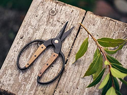 Garden Scissors - Walnut Scissors - Garden Supplies and Indoor Plant Accessories - Plant Shears with Wide Handles - Comfortable Fit Hand Pruners (Large)