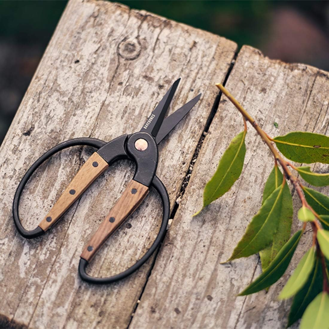 Garden Scissors - Walnut Scissors - Garden Supplies and Indoor Plant Accessories - Plant Shears with Wide Handles - Comfortable Fit Hand Pruners (Large)