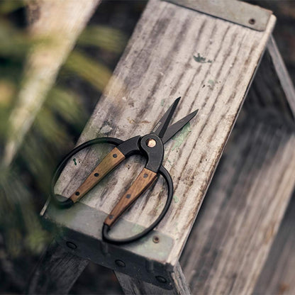 Garden Scissors - Walnut Scissors - Garden Supplies and Indoor Plant Accessories - Plant Shears with Wide Handles - Comfortable Fit Hand Pruners (Large)