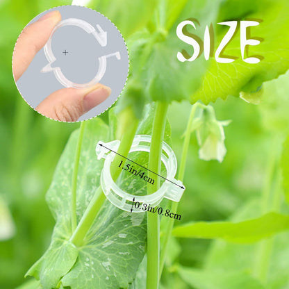 50pcs Plastic Support Clips - Tomato Clips for String Trellis, Grape Vine Clips for Garden Netting Climbing Plants, Secured Plastic Plant Clip for Fixing Stem and Vine (50, White)