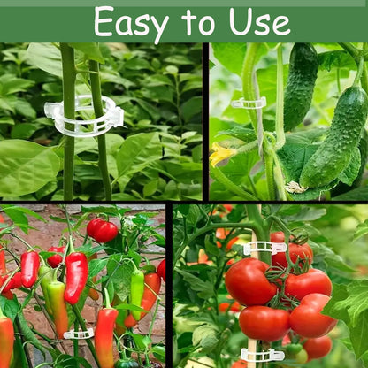 50pcs Plastic Support Clips - Tomato Clips for String Trellis, Grape Vine Clips for Garden Netting Climbing Plants, Secured Plastic Plant Clip for Fixing Stem and Vine (50, White)