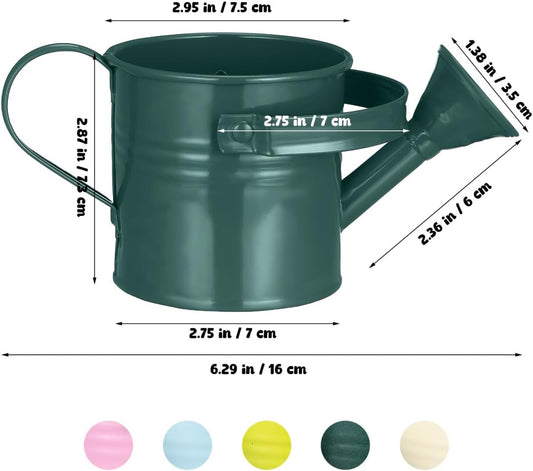 5Pcs Mini Kids Watering Can Set, Small Metal Watering Cans with Long Spout for Indoor Plants, Garden Play, Patio Flowers, Balcony Pots, Toddlers, Random Colors