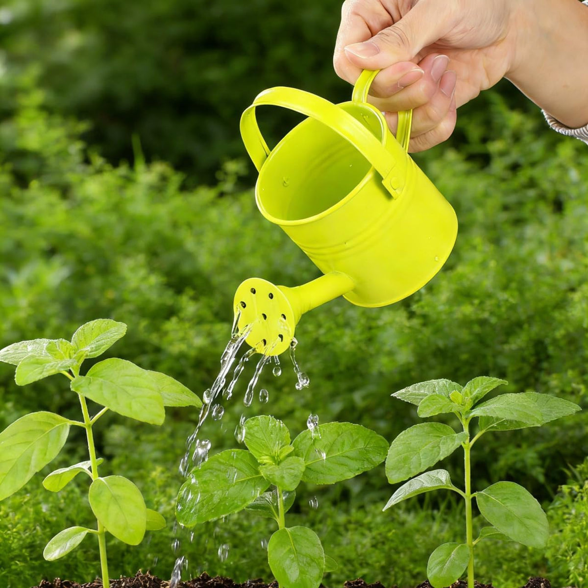 5Pcs Mini Kids Watering Can Set, Small Metal Watering Cans with Long Spout for Indoor Plants, Garden Play, Patio Flowers, Balcony Pots, Toddlers, Random Colors