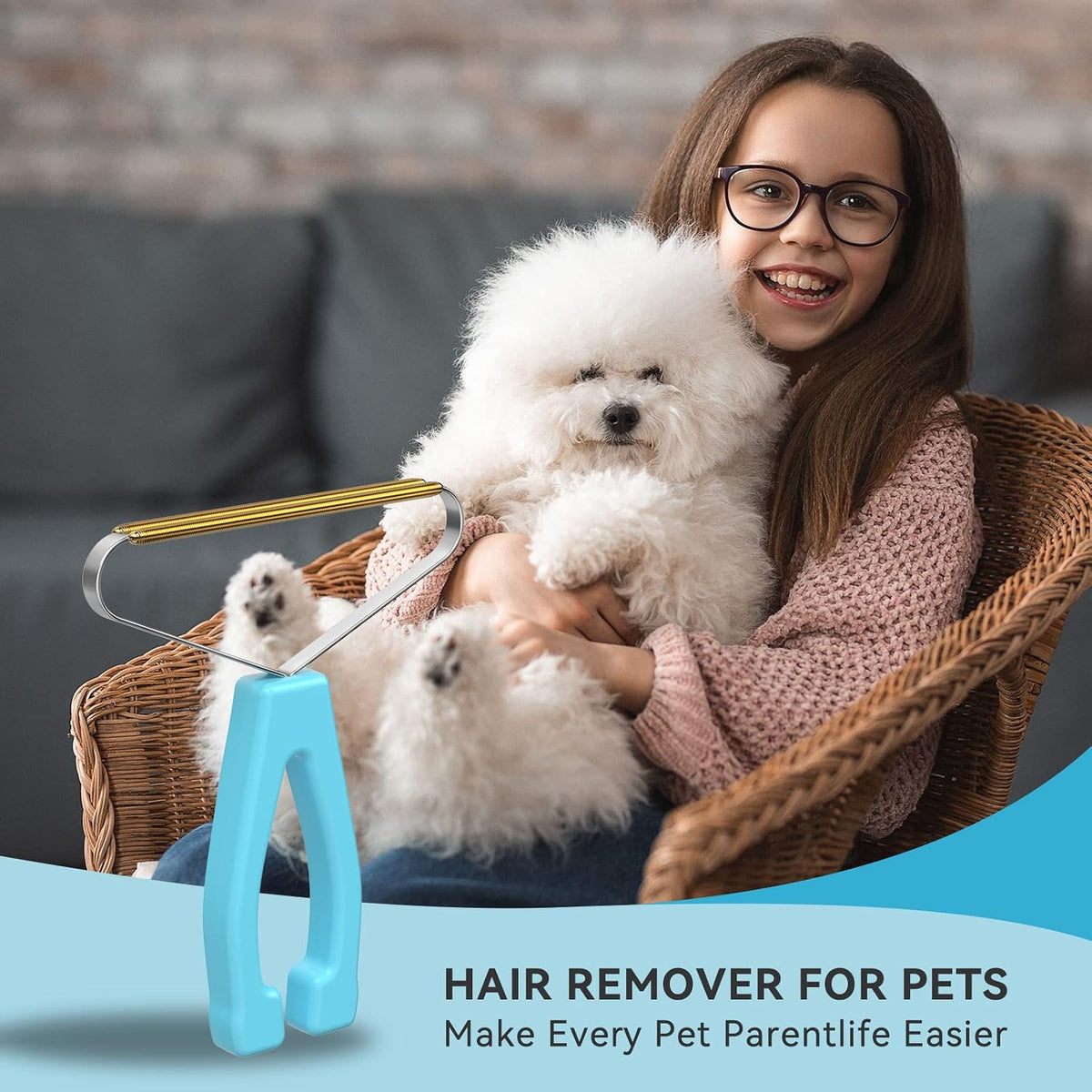 Pet Hair Remover, Dog and Cat Hair Remover, Carpet Rake, Carpet Scraper