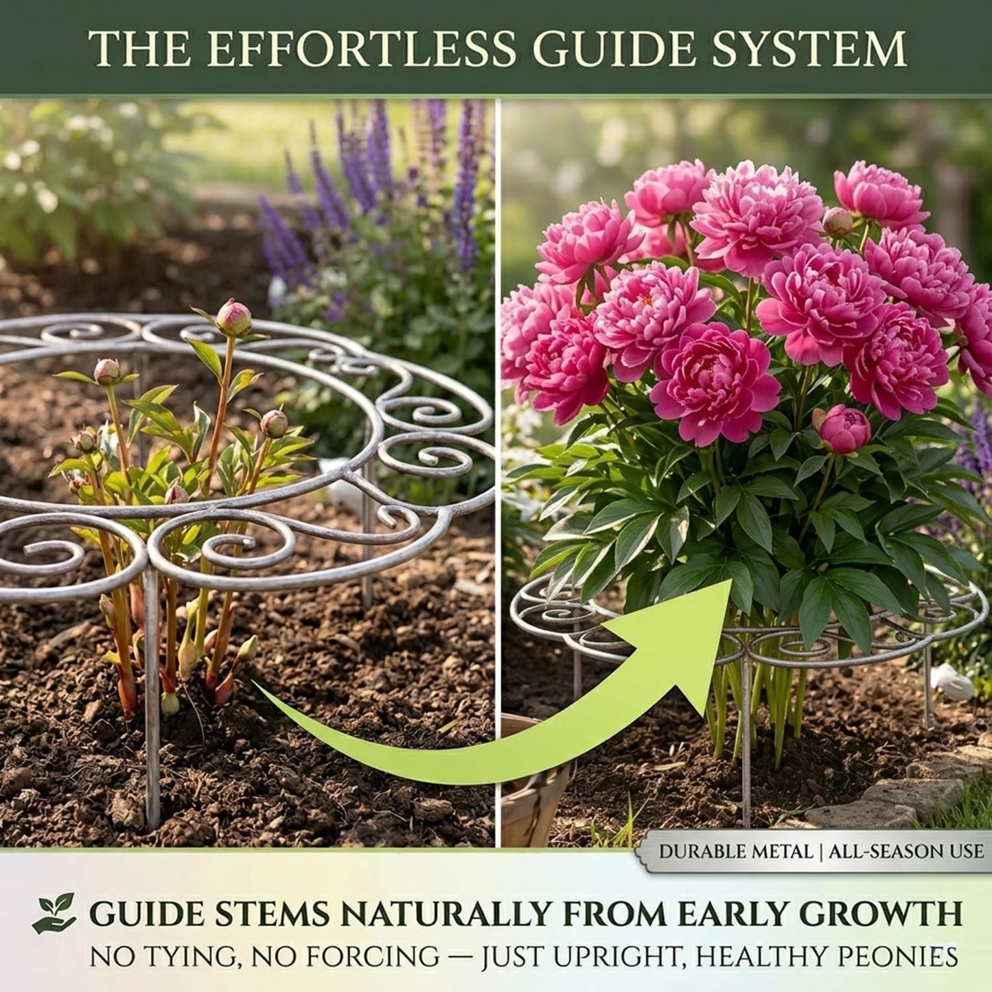 Metal Plant Support Ring for Garden, Peony Cages and Supports, Indoor/Outdoor Plants Wire Hoop, Stackable Houseplant Stake for Climbing Plants Vines Peonies Tomatoes (L)